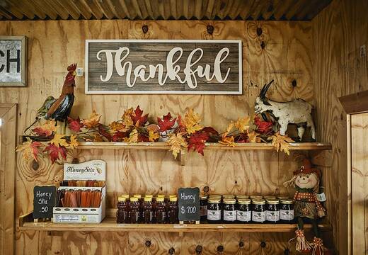 Inside a farm store with preserves and honey on the shelves