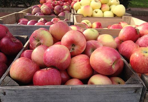 Crates of apples at a farm stand
