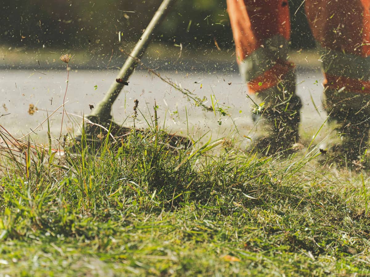 Grass being cut along the edge of a sunny garden