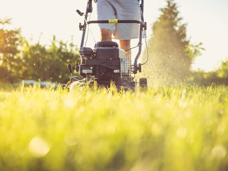 Mower cutting through long grass in evening light